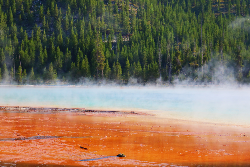 Illustration for article titled Photodump: Yellowstone National Park